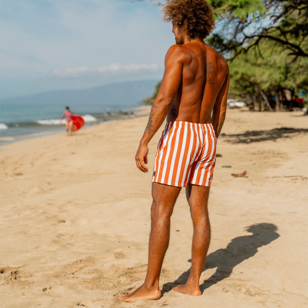 Striped, Brown, Men's swim trunks