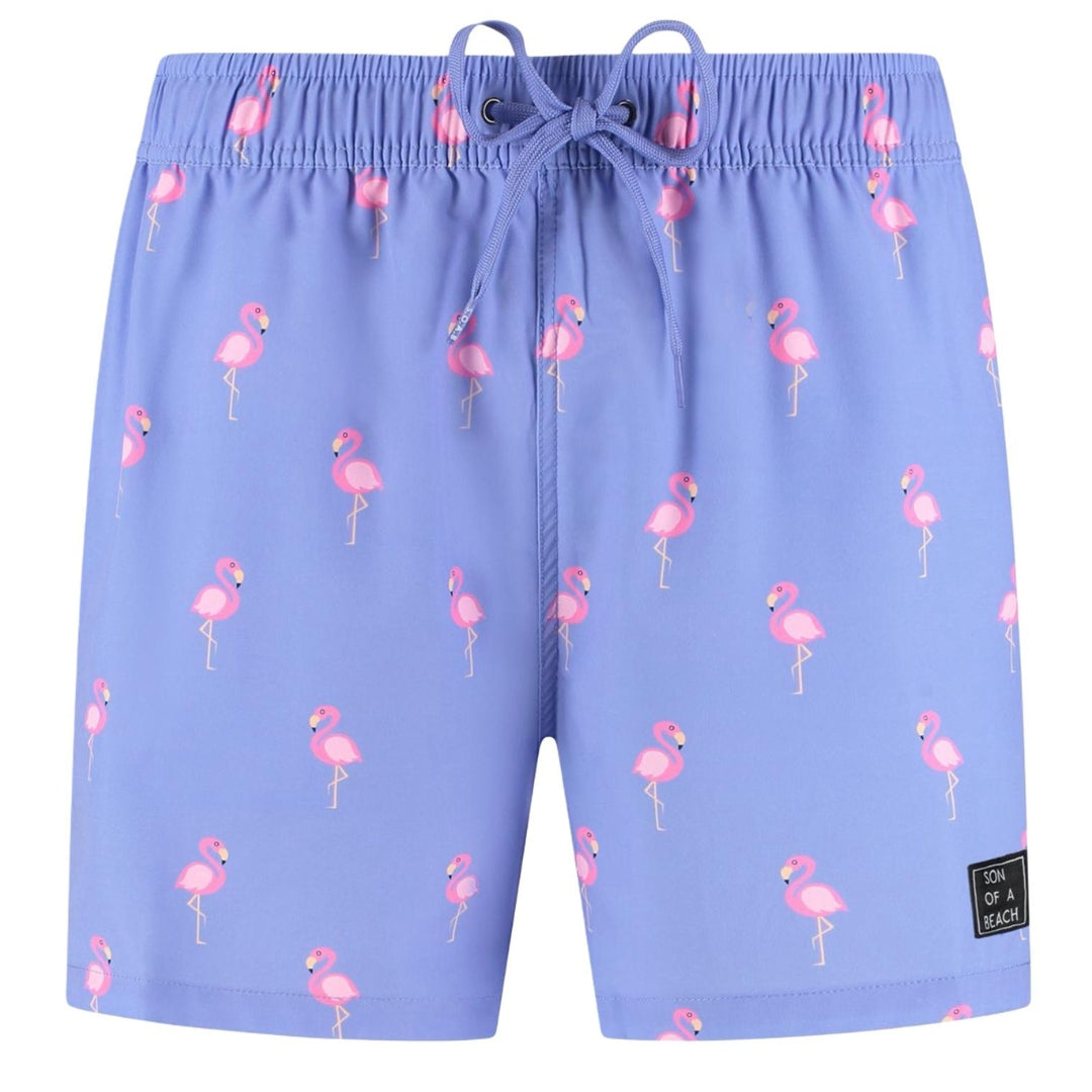 Flamingo, Purple, Boys Swim Shorts