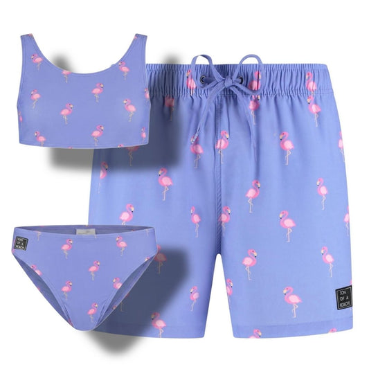 Flamingo, Purple, Father and daughter swim trunks/bikini 