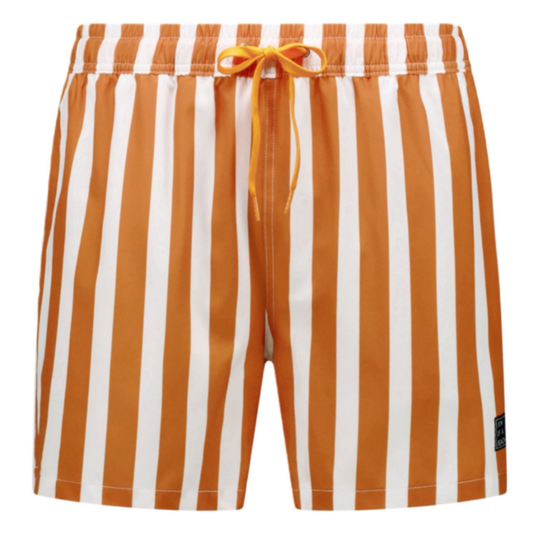 Striped, Brown, Boys Swim Trunks