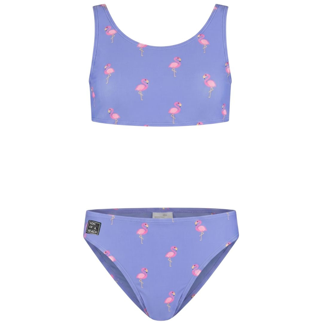 Flamingo, Purple, Girls' bikini